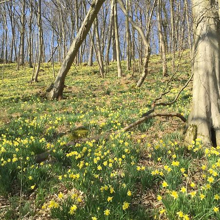 Venngasthof Zur Buche Monschau Luaran gambar