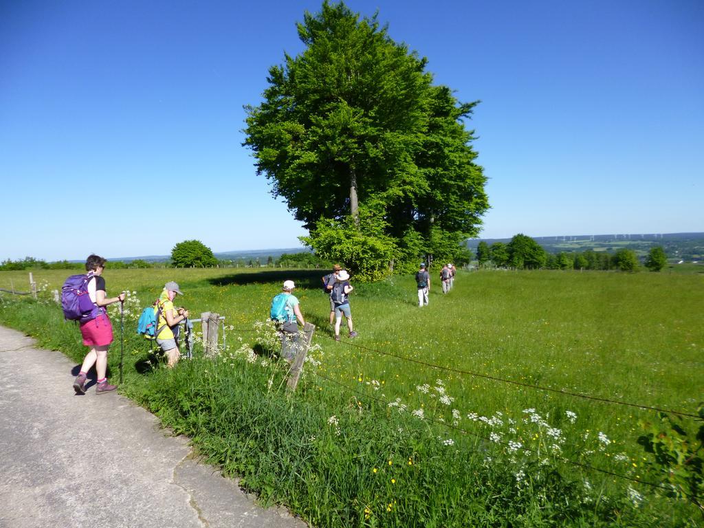 Venngasthof Zur Buche Monschau Luaran gambar